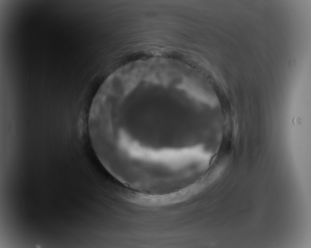 X0000087560043200705181132