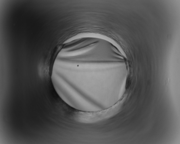 X0000087560045200705181132