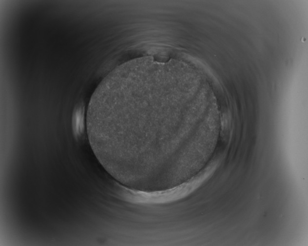 X0000087560046200705181132