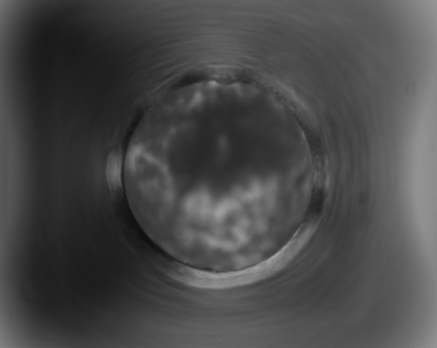 X0000087560047200705181132