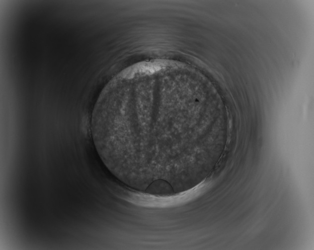 X0000087560048200705181132