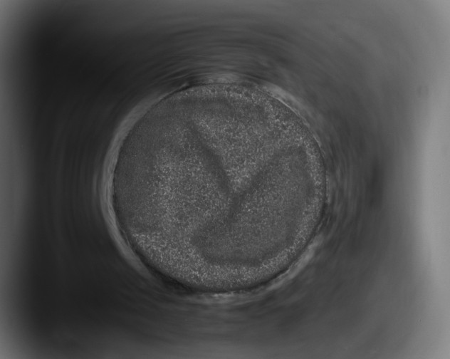 X0000087560049200705181132
