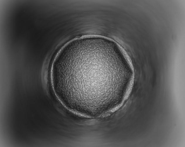 X0000087560050200705181132