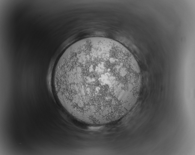 X0000087560051200705181132
