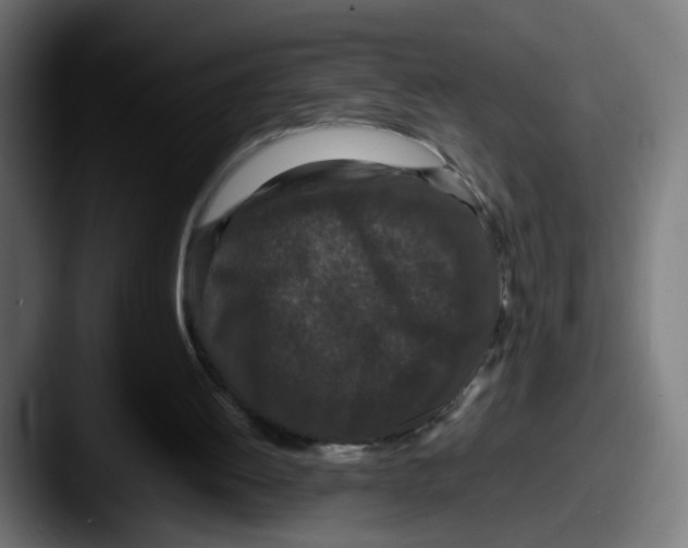 X0000087560052200705181132