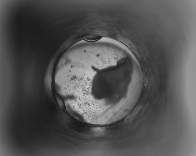 X0000087560053200705181132
