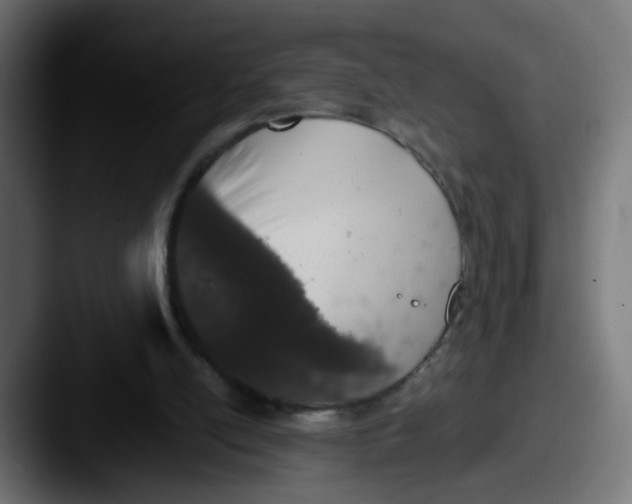 X0000087560054200705181132