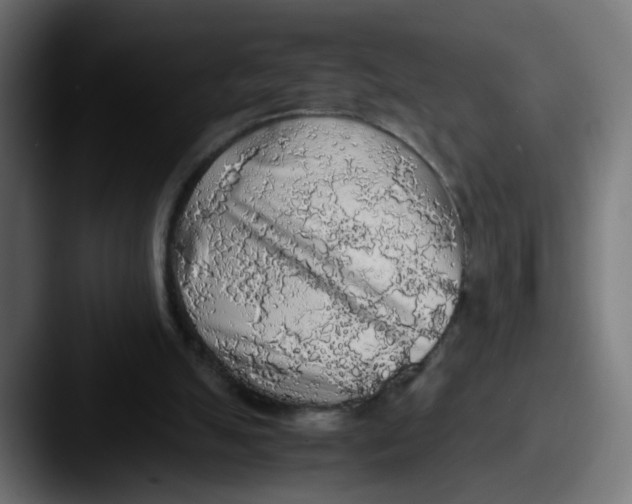 X0000087560055200705181132