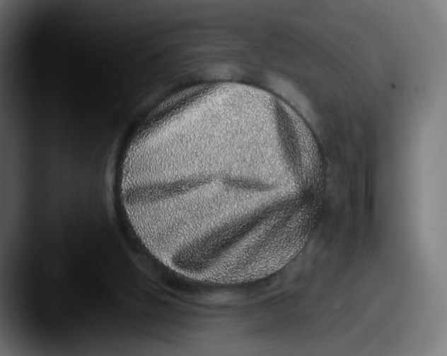 X0000087560058200705181132
