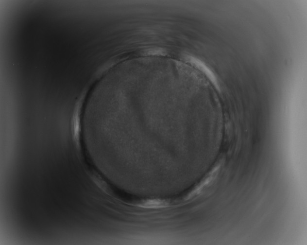 X0000087560059200705181132