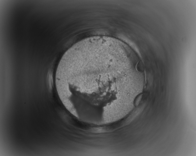 X0000087560061200705181132