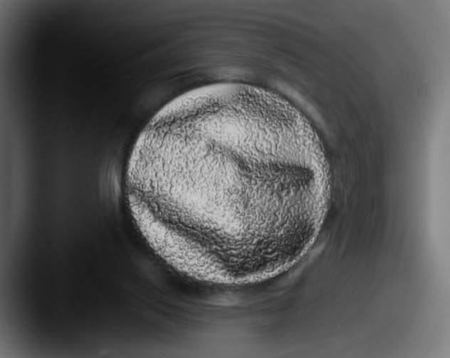 X0000087560062200705181132