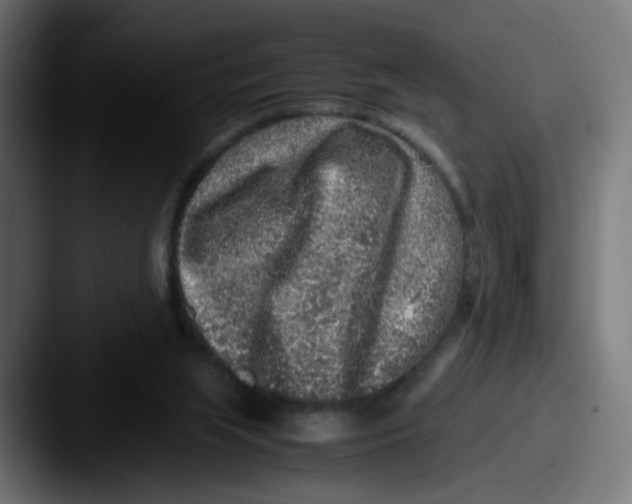X0000087560063200705181132