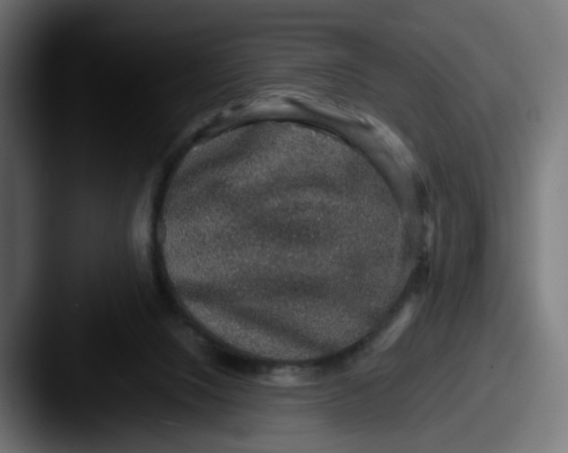 X0000087560064200705181132