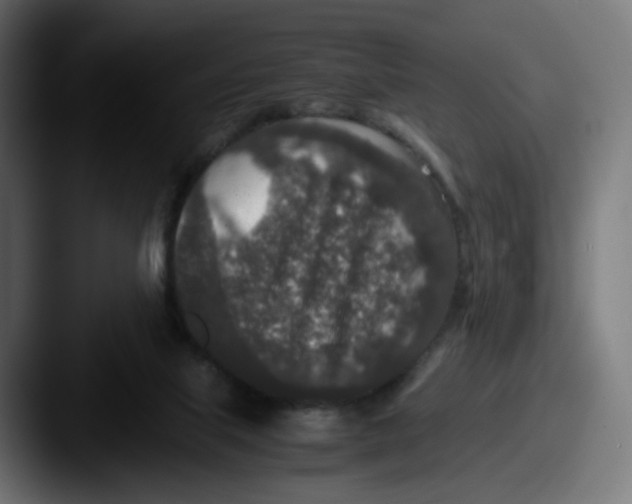 X0000087560067200705181132
