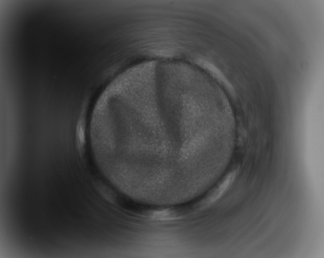 X0000087560068200705181132
