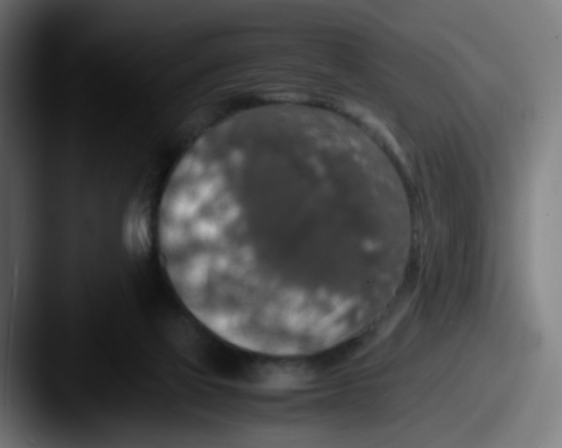 X0000087560069200705181132