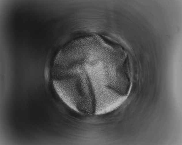X0000087560070200705181132