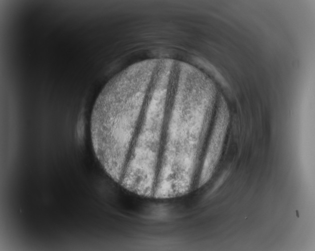 X0000087560071200705181132