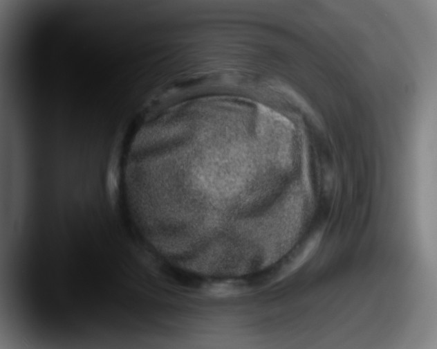 X0000087560072200705181132