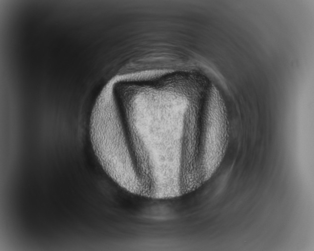 X0000087560073200705181132