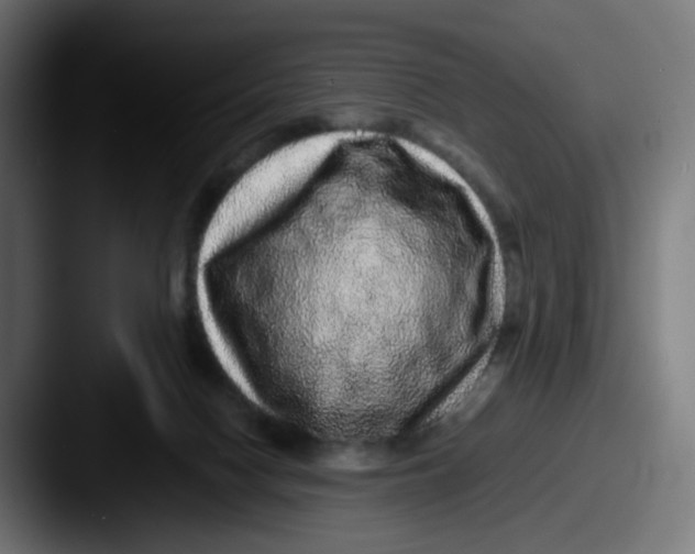 X0000087560074200705181132