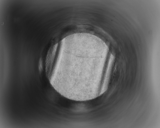 X0000087560075200705181132