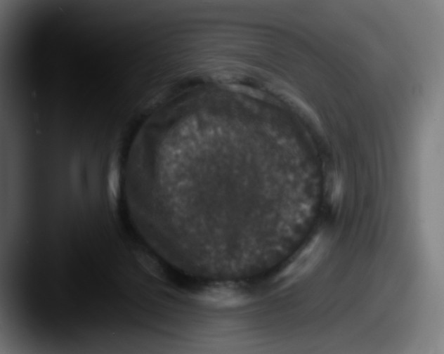 X0000087560076200705181132
