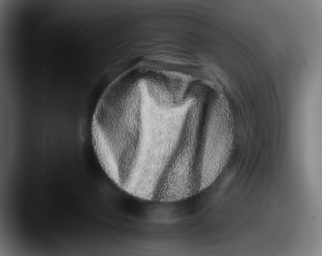 X0000087560077200705181132
