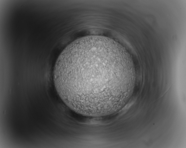 X0000087560078200705181132