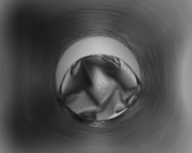 X0000087560080200705181132