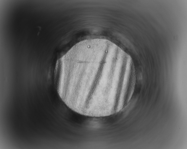 X0000087560082200705181132