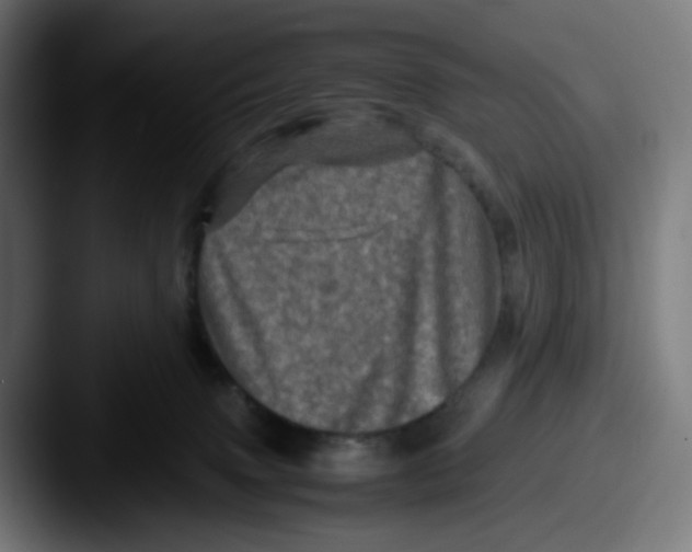 X0000087560083200705181132