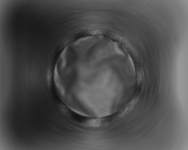 X0000087560084200705181132