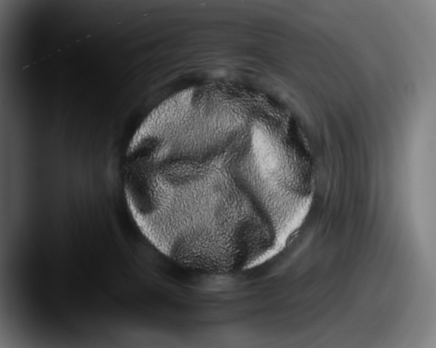 X0000087560085200705181132