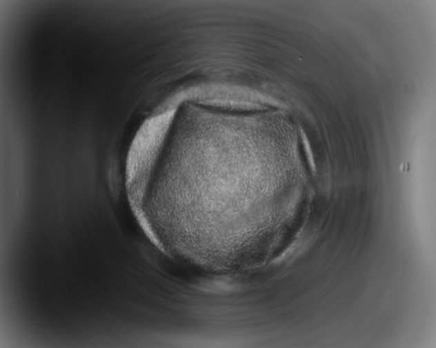 X0000087560086200705181132