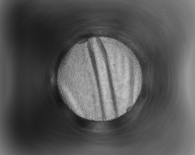 X0000087560089200705181132