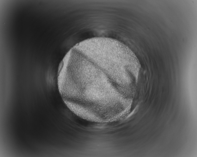 X0000087560090200705181132