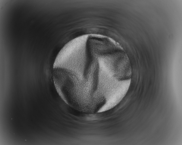 X0000087560091200705181132