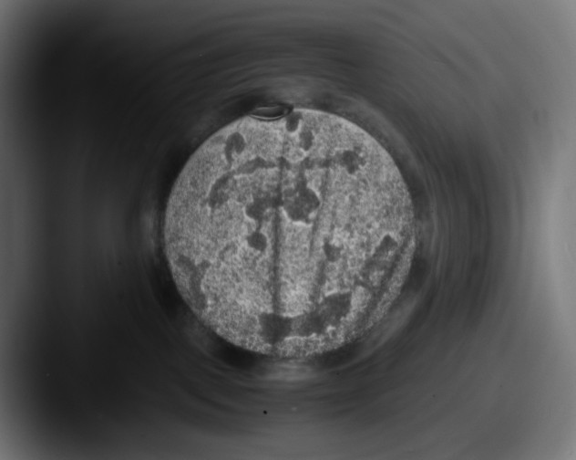 X0000087560093200705181132