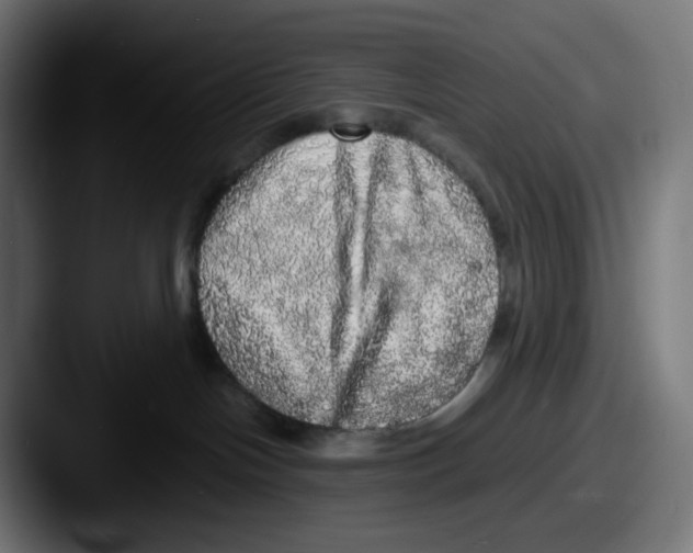 X0000087560094200705181132