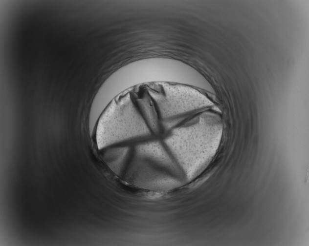 X0000087560096200705181132