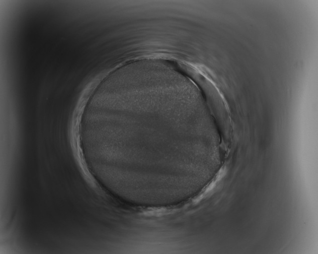 X0000087560097200705181132