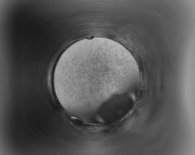X0000087560099200705181132