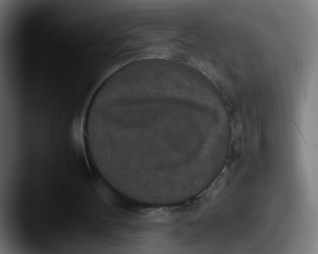 X0000087560100200705181132