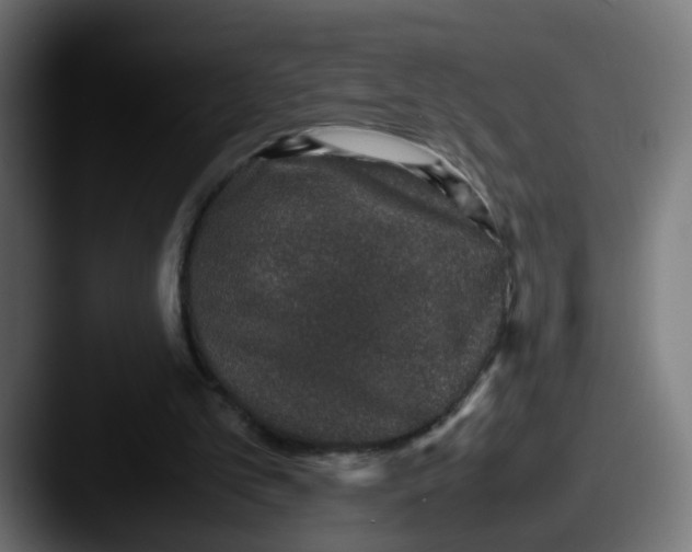 X0000087560101200705181132