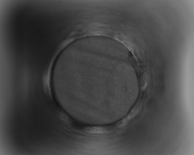 X0000087560104200705181132