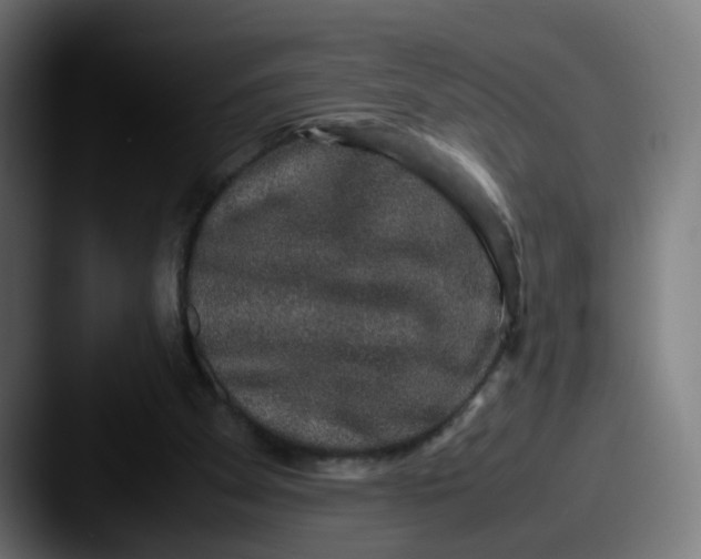 X0000087560105200705181132