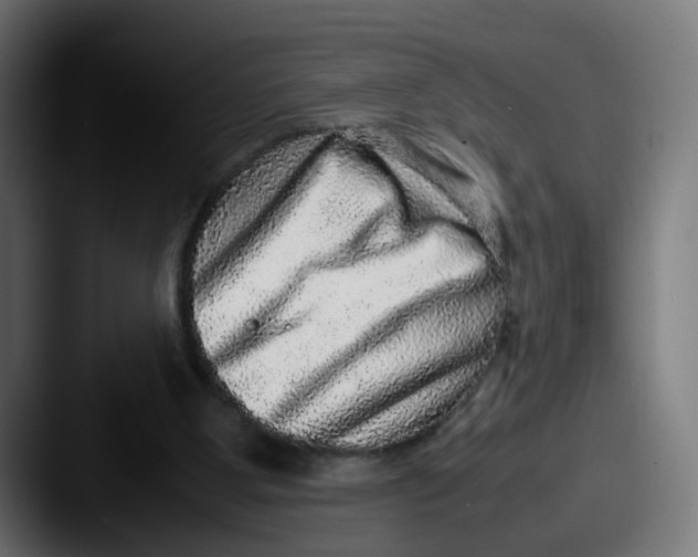 X0000087560107200705181132