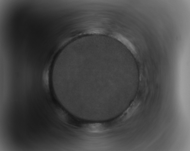 X0000087560108200705181132